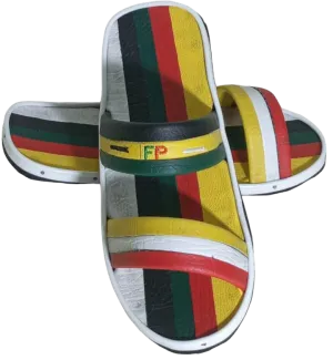 Inkatha Freedom Party