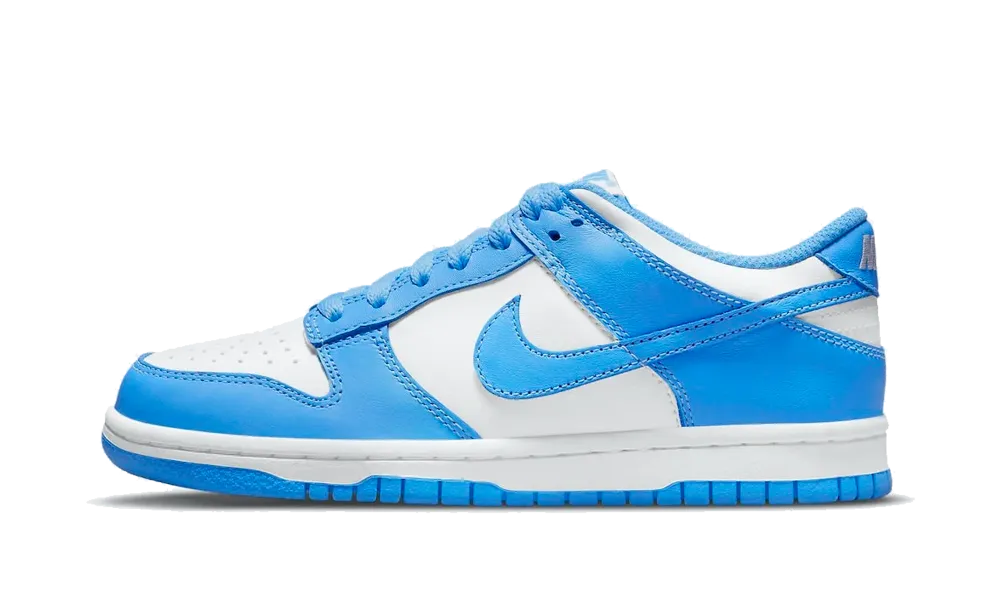 Nike Dunk Low UNC