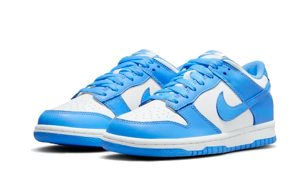 Nike Dunk Low UNC
