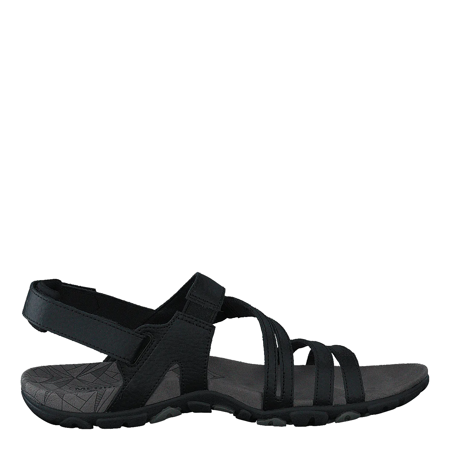 Sandspur Rose Convert Black