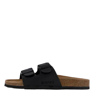 Spectra W Black